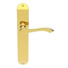 DL381pb polished brass latch handle on long backplate